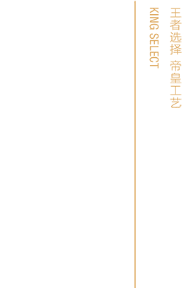 尊龙·凯时·(中国)官方网站վ-02_03.png